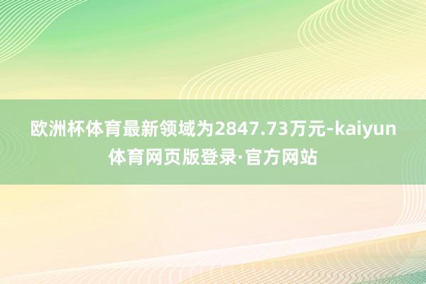 欧洲杯体育最新领域为2847.73万元-kaiyun体育网页版登录·官方网站