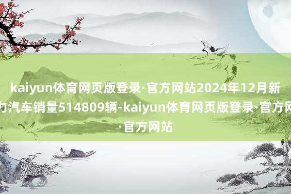 kaiyun体育网页版登录·官方网站2024年12月新动力汽车销量514809辆-kaiyun体育网页版登录·官方网站