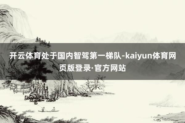 开云体育处于国内智驾第一梯队-kaiyun体育网页版登录·官方网站